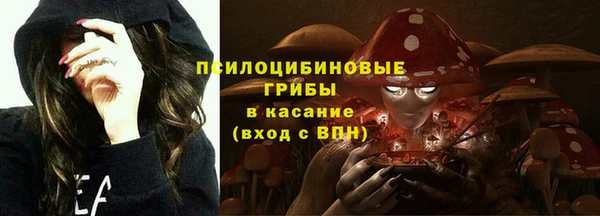 хмурый Протвино