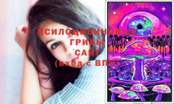хмурый Протвино