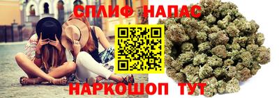 ешки Майкоп