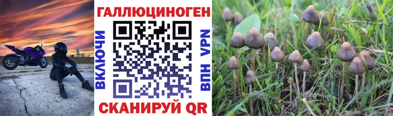 Псилоцибиновые грибы Cubensis  Усть-Илимск 