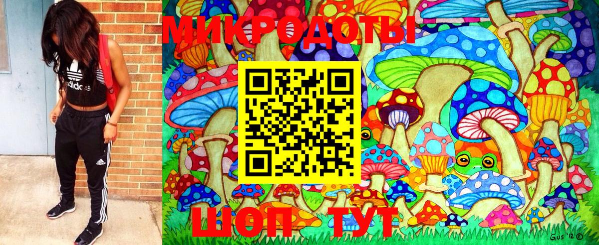 Псилоцибиновые грибы GOLDEN TEACHER Усть-Илимск